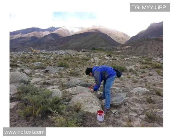 南京攀岩队反击之路:挑战与收获的双重考验分析 南京攀岩队反击之路:挑战与收获的双重考验分析