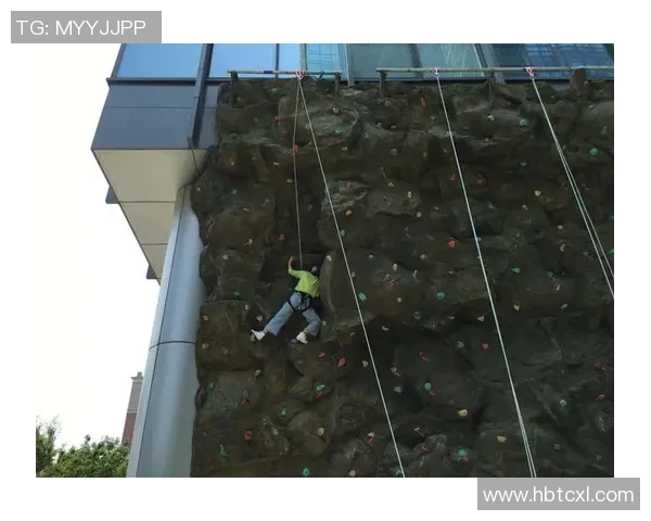 上海攀岩队技术表现数据分析与提升策略探讨 上海攀岩队技术表现数据分析与提升策略探讨